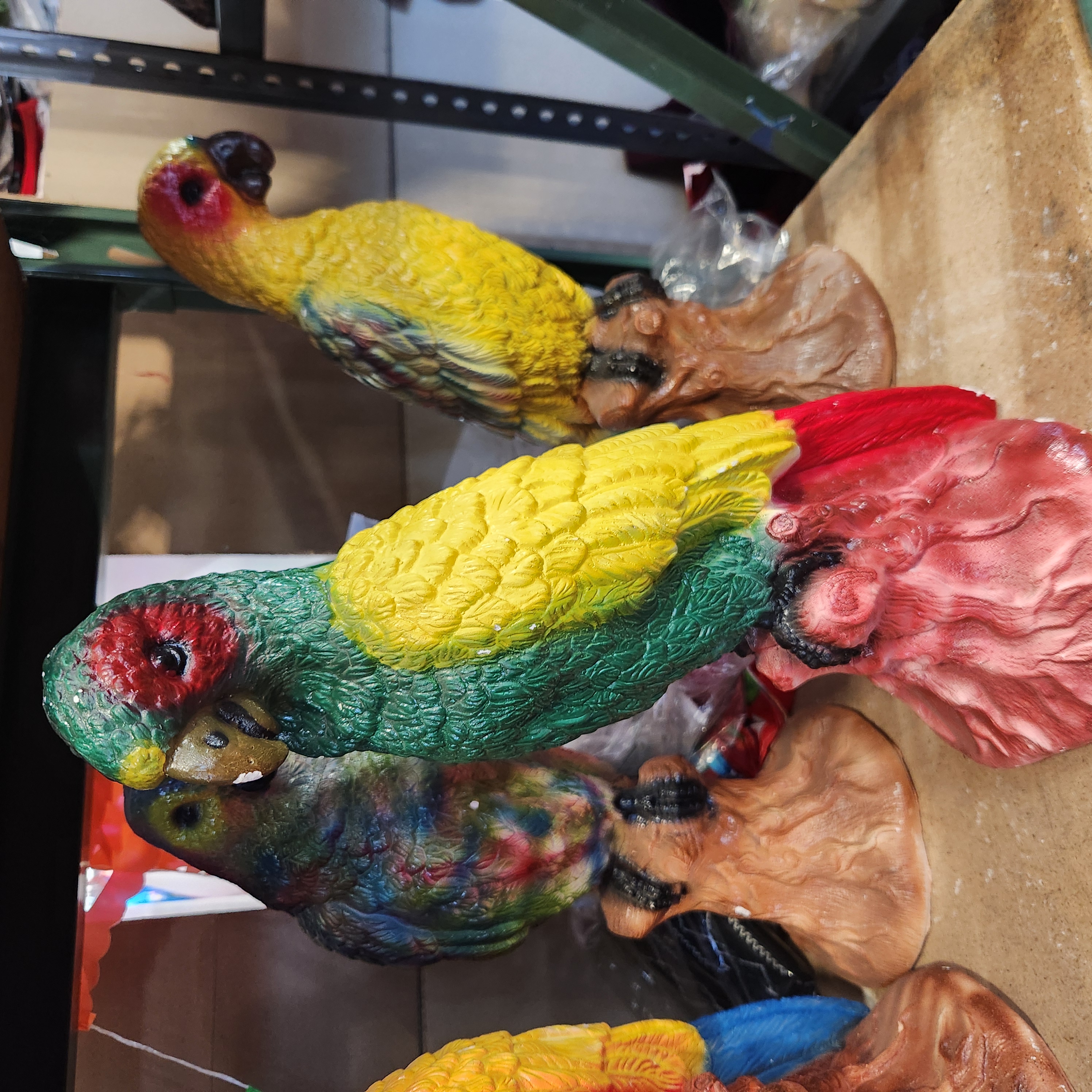 Perico Cotorro Amarillo Verde y rojo